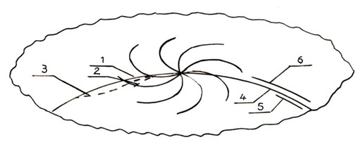 Рисунок 3, Схема орбитального и осевого движения вихря