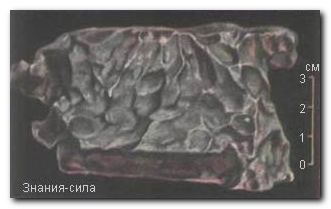 Индивидуальный экземпляр Сихотэ-Алинского железного метеорита