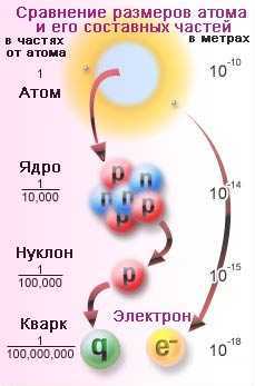 Сравнение размеров атома и его составных частей