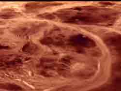 Поверхность планеты Венера