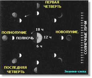 Схема циклов лунных фаз