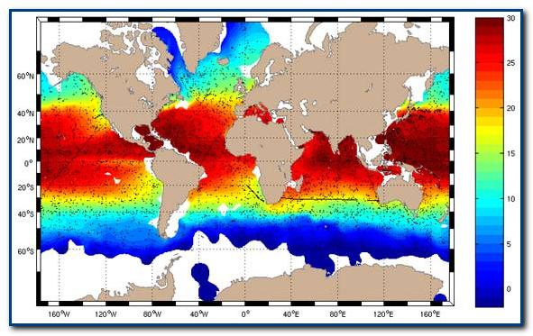 Карта поверхностной температуры океана