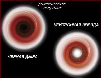 Аккреционные диски вокруг чёрной дыры и нейтронной звезды