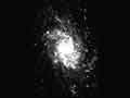 Спиральная галактика типа Sс (М33, NGC 598) в созвездии Треугольника